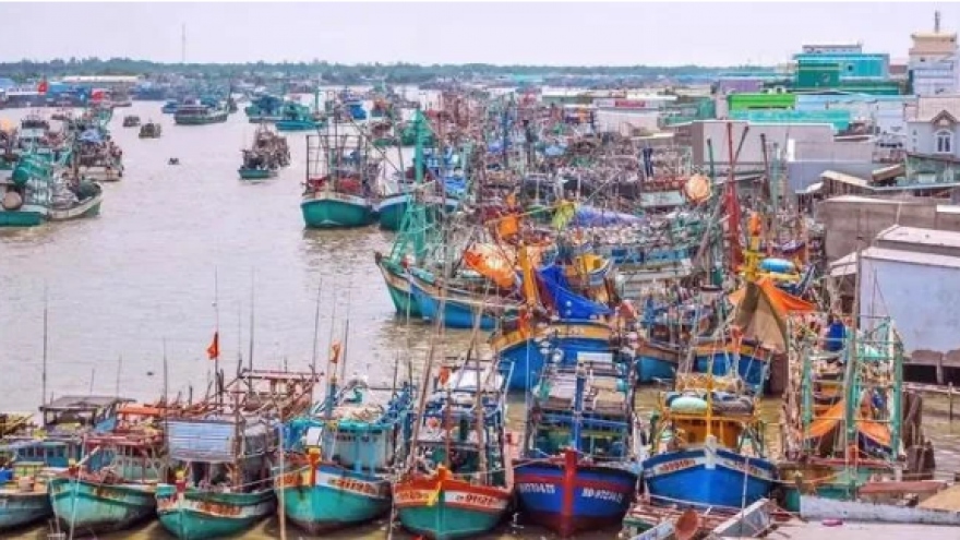 Expert commends Vietnam’s efforts in IUU fishing combat