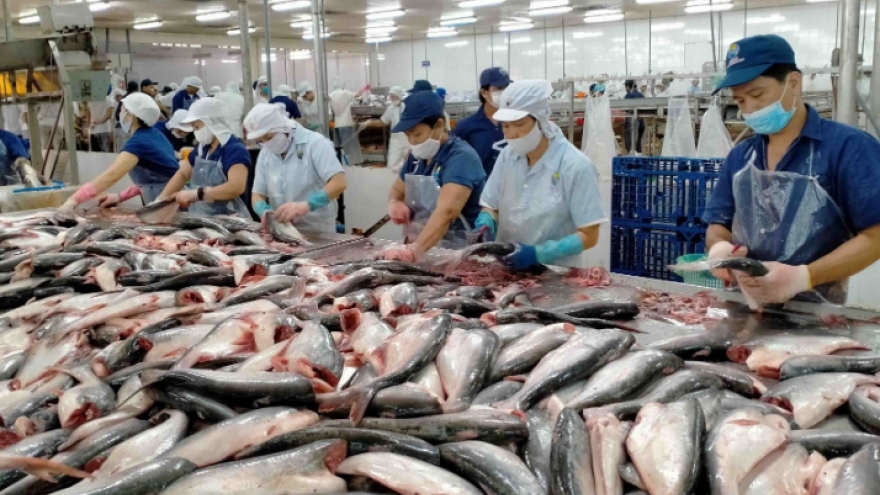 China remains largest importer of Vietnamese pangasius