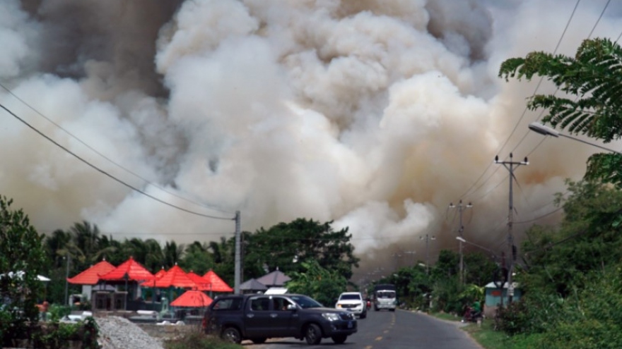 Tram Chim National Park fire brought under control