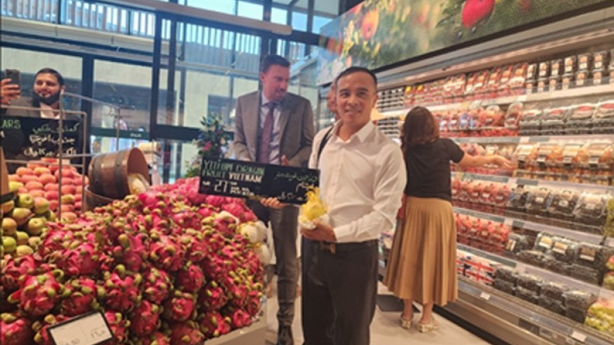 Vietnam exports red and yellow-fleshed dragon fruit to Saudi Arabia