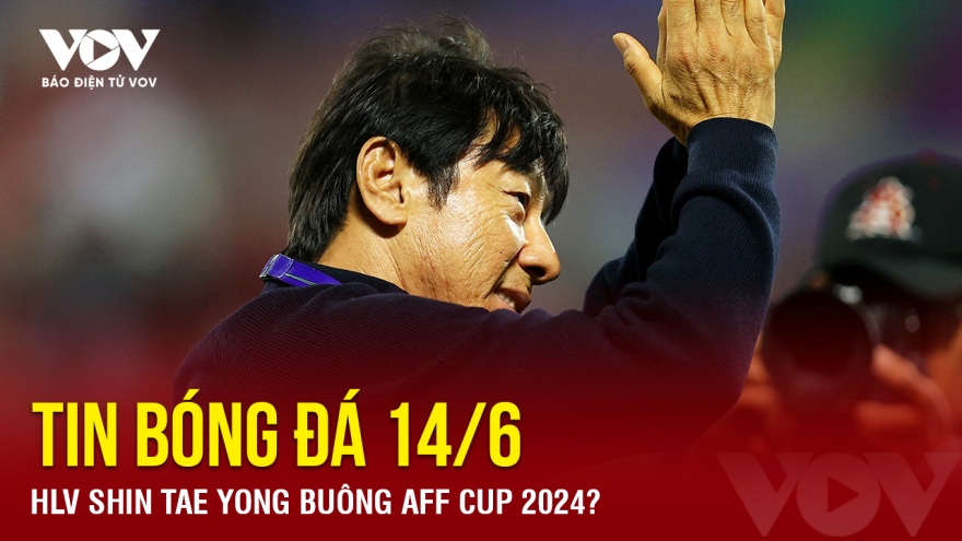 Tin bóng đá 14/6: HLV Shin Tae Yong buông AFF Cup 2024?