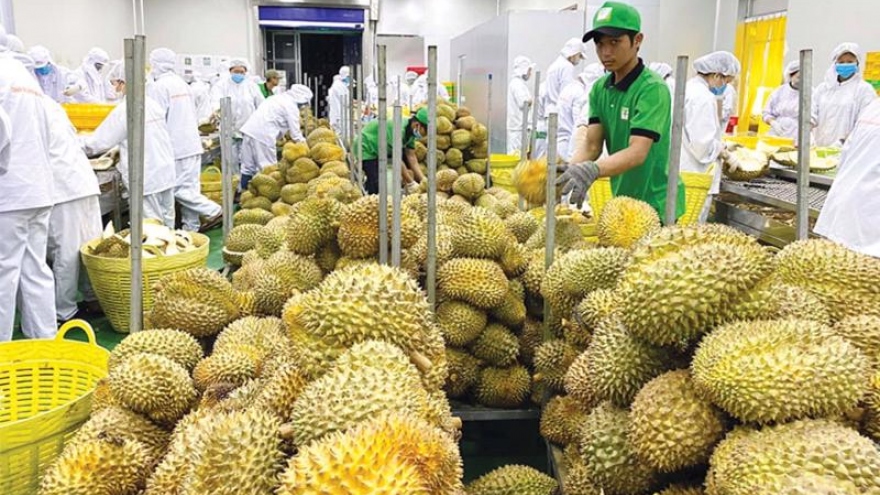 Fruit and vegetable exports gross US$3.4 billion in first half