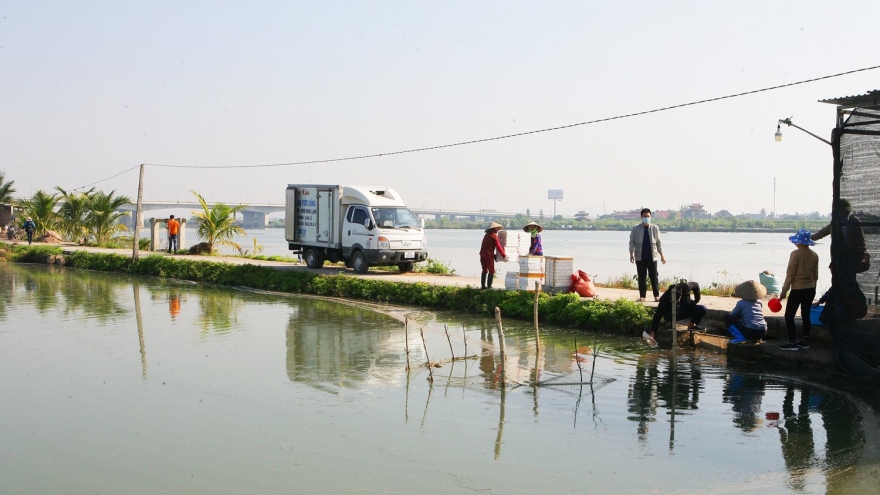 Vùng đất “làm rươi” chuyển mình từ nông thôn mới