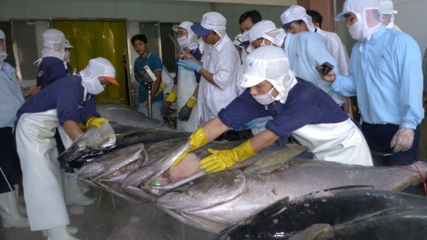 Germany remains largest consumer of Vietnamese canned tuna in EU
