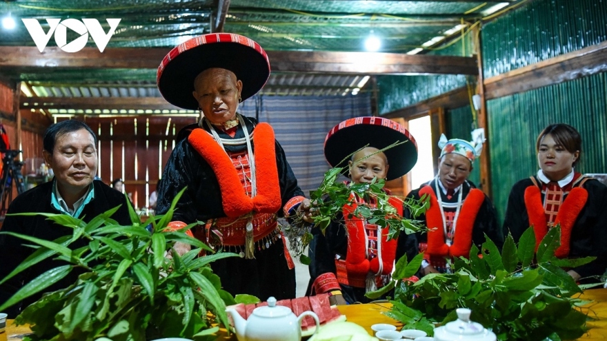Red Dao ethnic people preserve traditional medicinal remedies