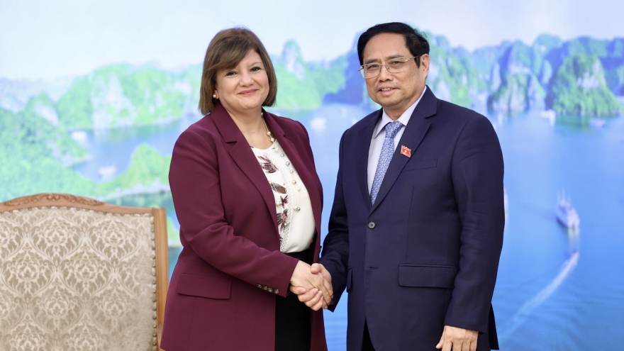 Hợp tác toàn diện giữa Ai Cập và Việt Nam liên tục phát triển