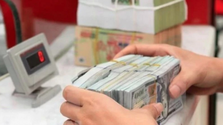 Vietnam’s overseas investment reaches nearly US$150.7 million in seven months