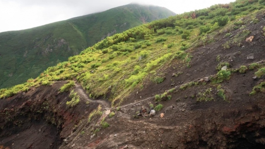 Two Vietnamese women safely rescued from Japan mountain climbing