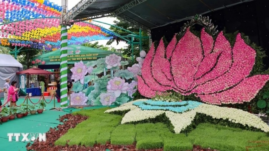 Success of Hanoi Lotus Festival opens up new prospects for capital’s tourism