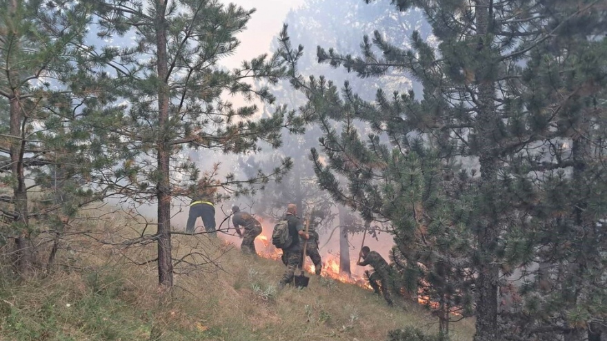 Cháy rừng ở biên giới Bulgaria - Hy Lạp