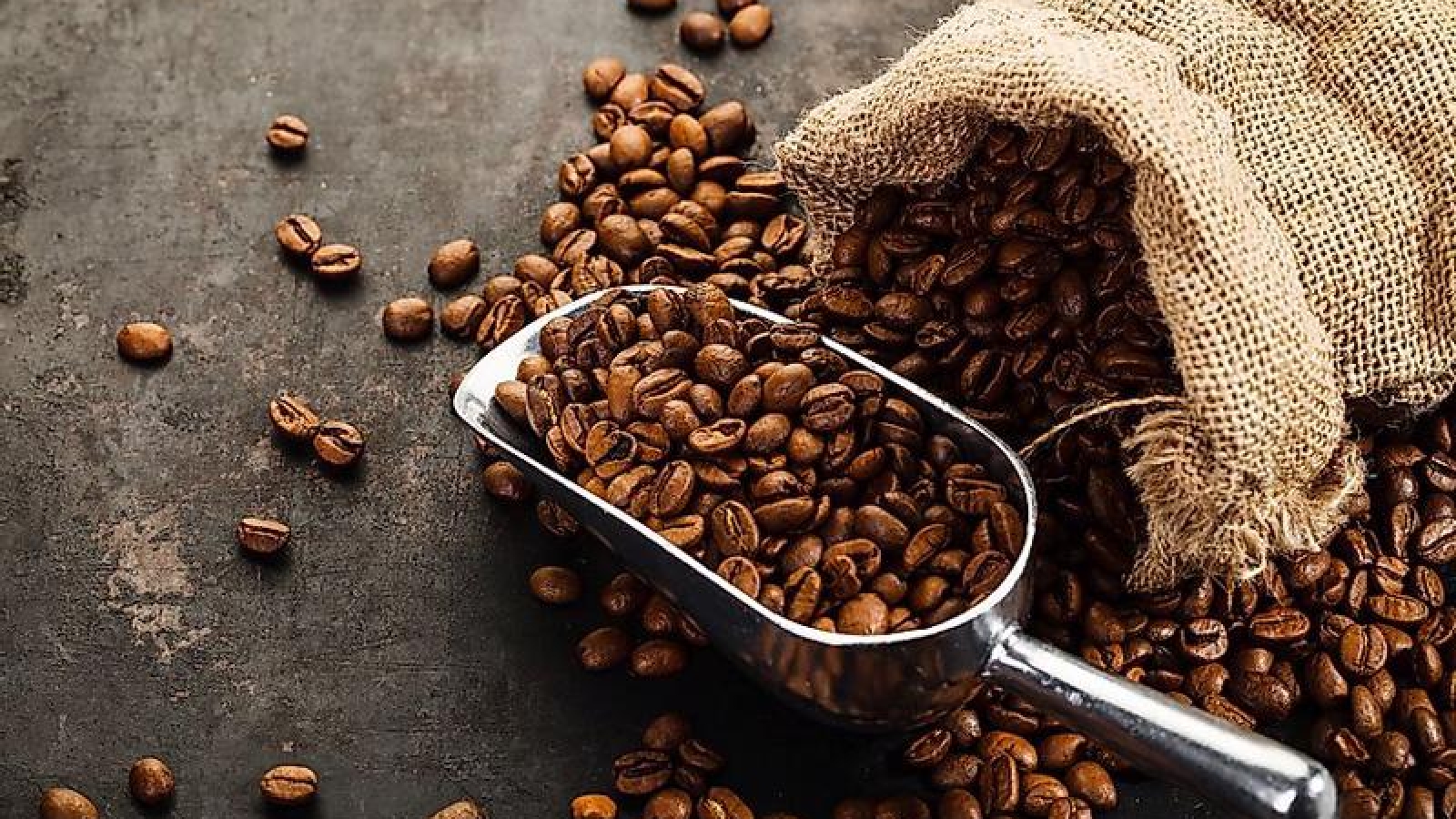 Giá cà phê hôm nay 9/12: Giá cà phê Robusta và Arabia cùng giảm