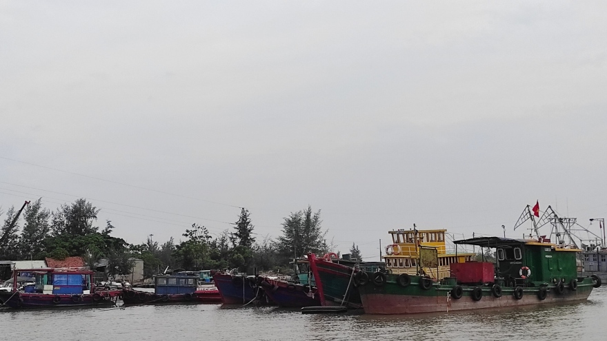 Hải Phòng, Quảng Ninh thông báo tàu thuyền tránh trú vì áp thấp nhiệt đới