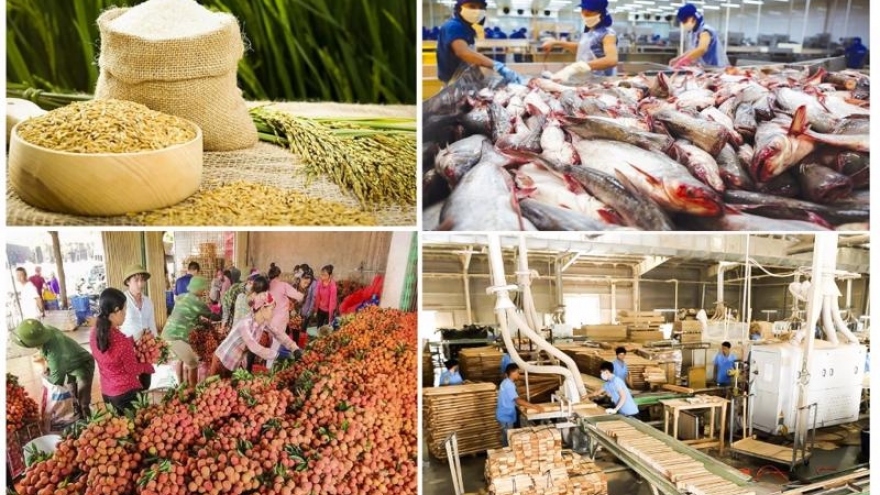 Top three importers of Vietnamese agro-forestry-fishery products