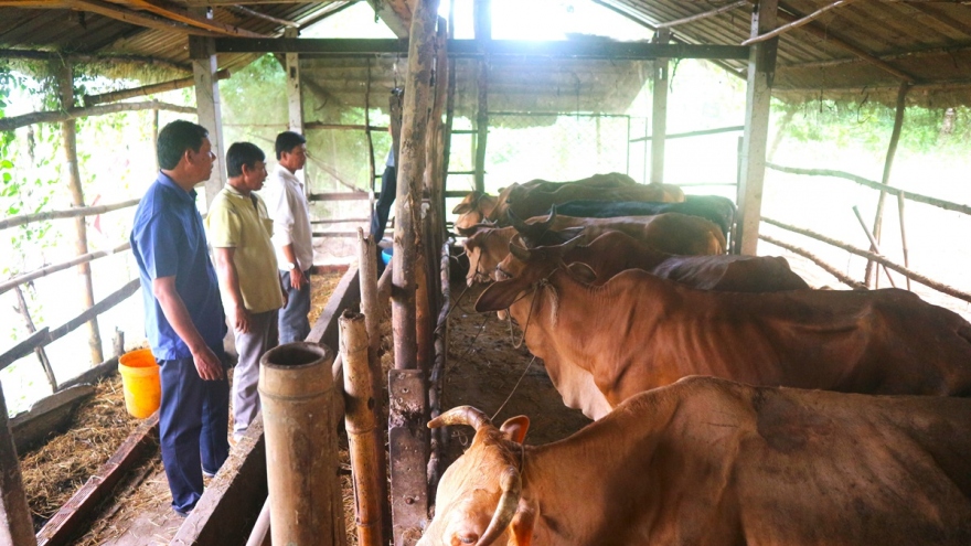 Gặp những thương binh người Khmer vươn lên trên mặt trận sản xuất