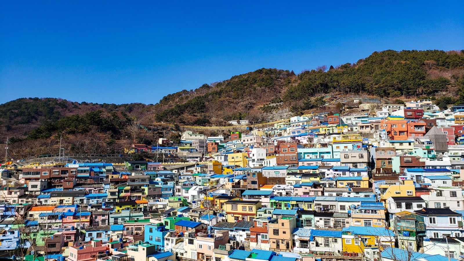 Khách quốc tế đổ xô đến Busan vì điều gì?