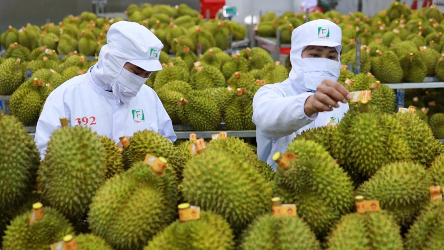 Vietnam sees upsurge in durian exports