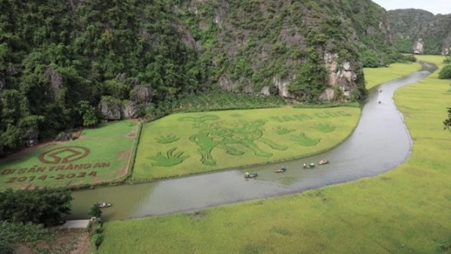 Ninh Binh tour among world’s best experiences: TripAdvisor