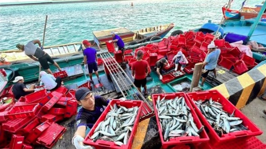 Australia shares experience in IUU fishing combat with Vietnam