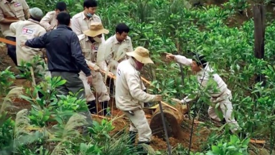 British organisation supports Quang Binh in UXO clearance