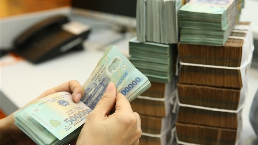 Ngân hàng Nhà nước: Đồng Việt Nam mất giá ở mức hợp lý