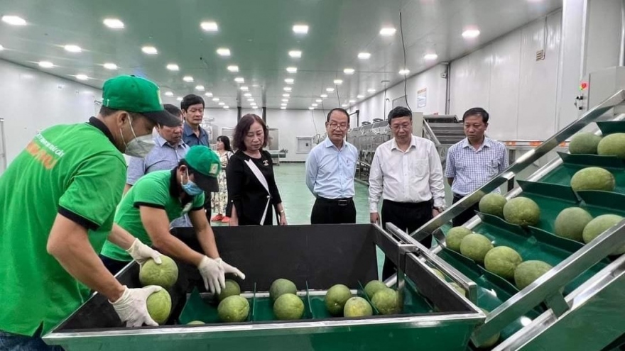 Vietnamese pomelo gets green light to gain entry into RoK