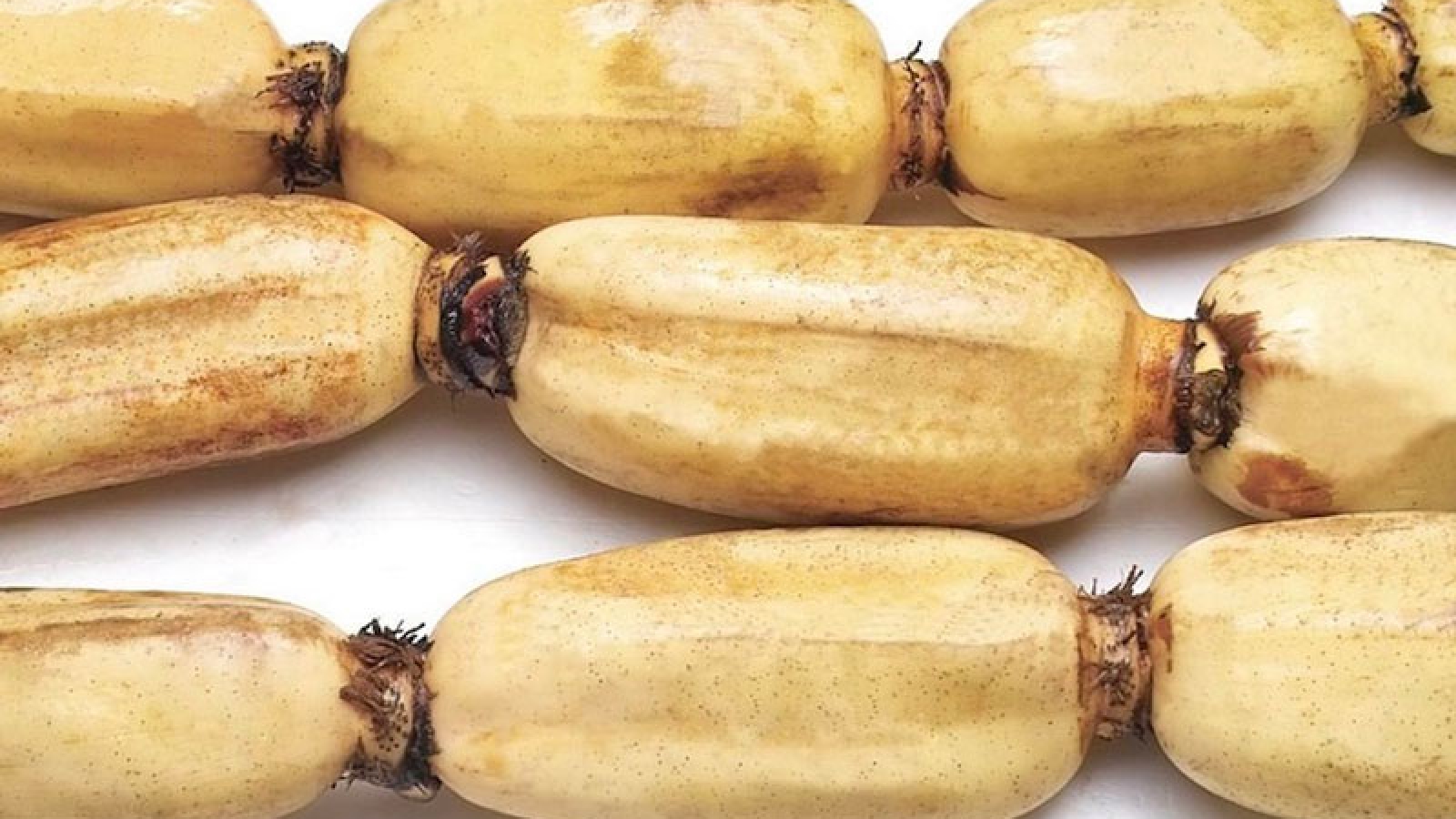 Loại củ rẻ bèo, đem phơi khô có giá cao không tưởng