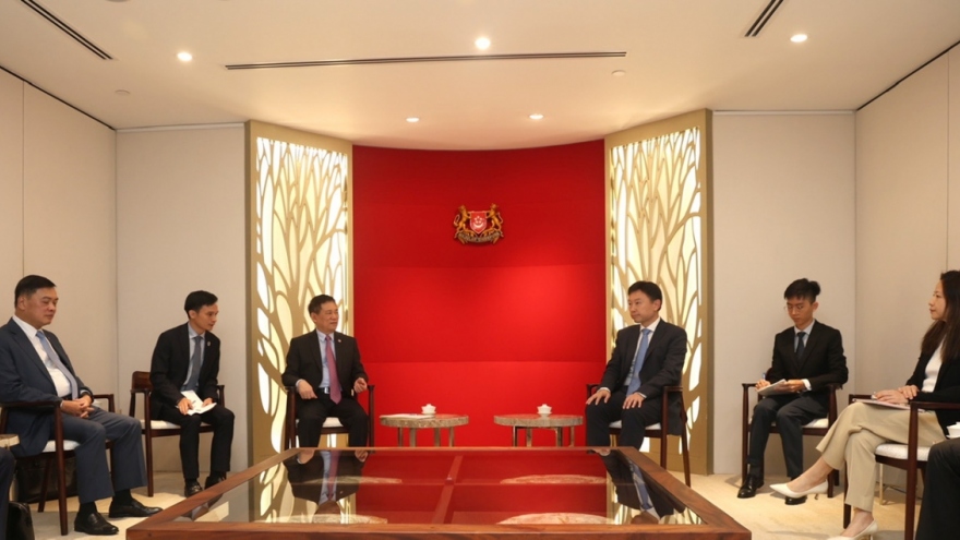 Singapore, Vietnam seek broader co-operation in securities and finance