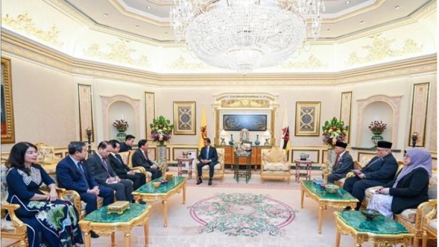 NA Vice Chairman meets with Sultan, Speaker of Legislative Council of Brunei