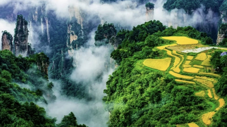 Tourism promotion programme on China’s Zhangjiajie city introduced in Hanoi