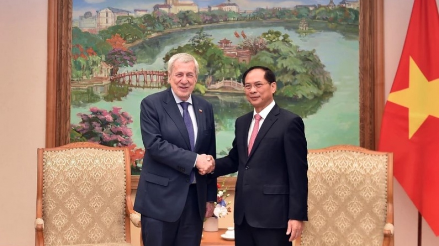 Vietnam treasures relations with Chile: Deputy PM