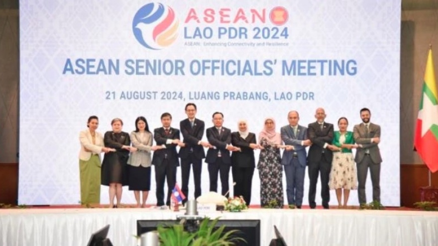 Vietnam attends meetings in preparation for 44th, 45th ASEAN Summits