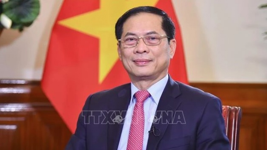 Deputy PM highlights Vietnam’s 79-year diplomatic achievements