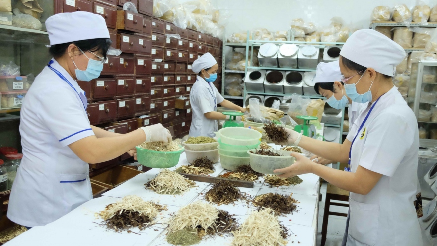 International conference in Italy highlights traditional Vietnamese medicine