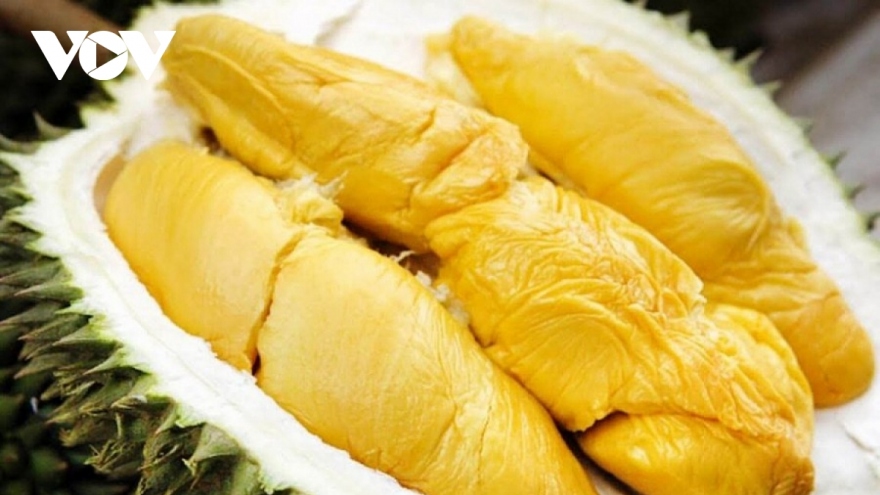 Second durian festival to honour growers, promote sustainable development