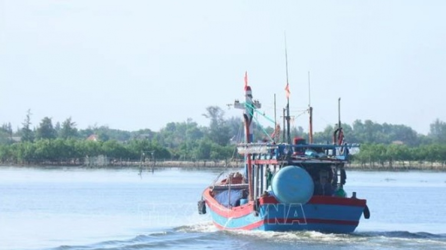 Quang Tri intensifies measures to combat nearshore fishing violations