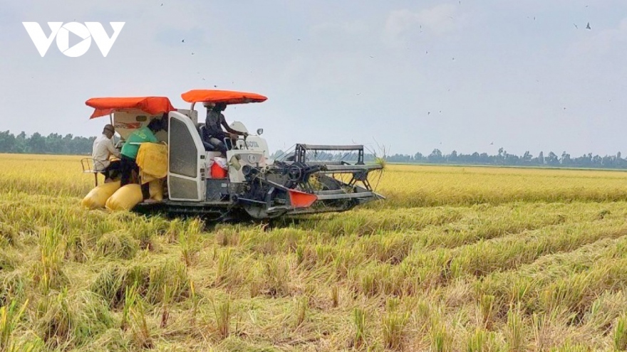 Vietnam and Japan boost agriculture cooperation