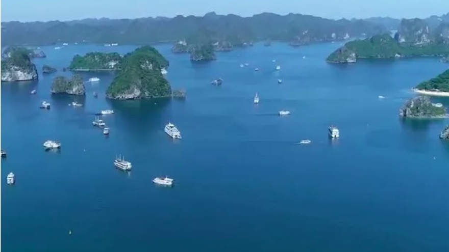 Ha Long Bay - Cat Ba Archipelago recognised as World Geological Heritage