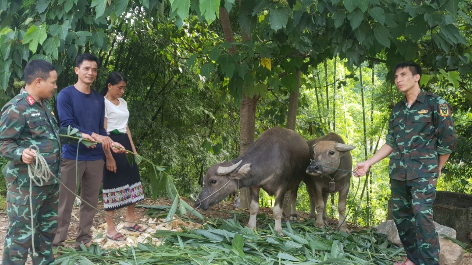 Dấu ấn lực lượng vũ trang Quân khu 4 trong lòng dân