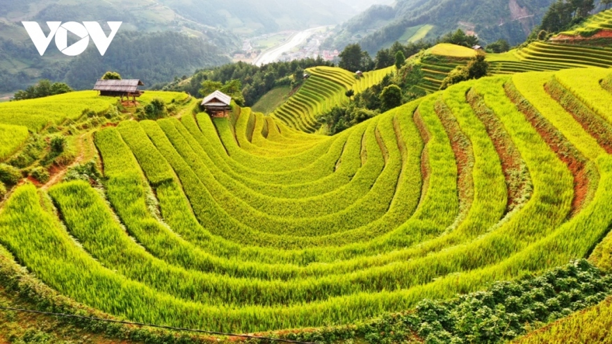 Mu Cang Chai among world’s top 25 most incredible places that look unreal