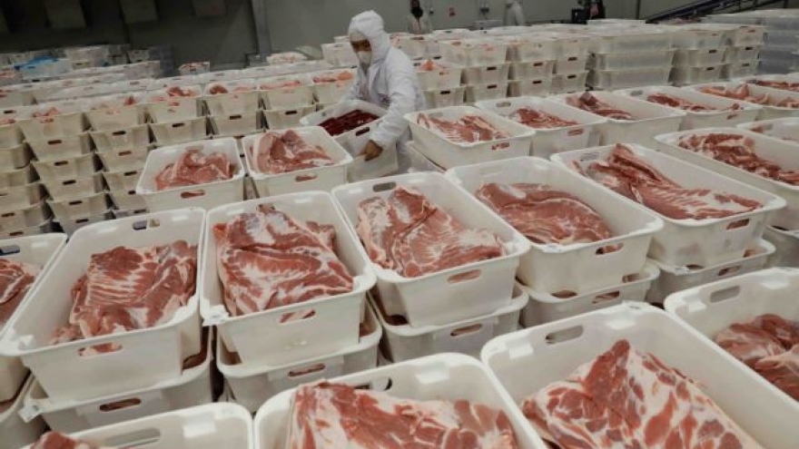 Livestock industry needs to increase pork supply for Tet