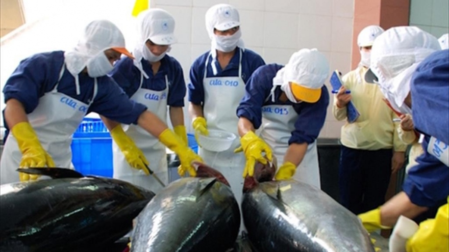 UKVFTA opens doors for Vietnamese tuna exports to UK market