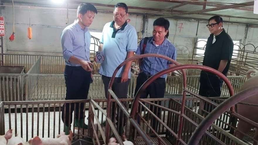 Philippines to import 150,000 doses of African swine fever vaccine from Vietnam