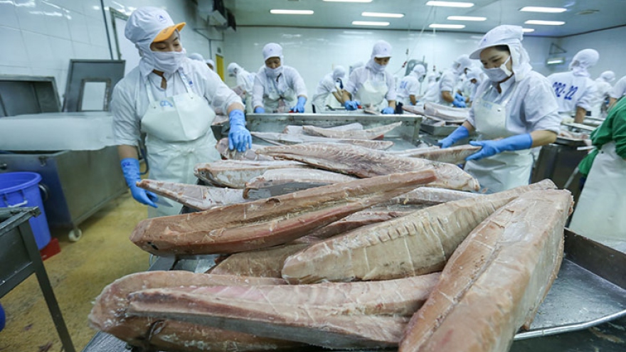 RoK increases tuna imports from Vietnamese market