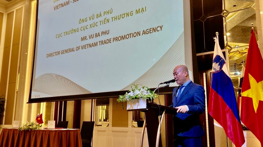 Vietnam and Slovenia enhance trade connectivity