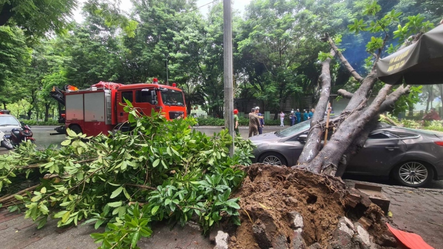 Không nên đỗ xe ô tô ở những khu vực sau đây khi mưa bão