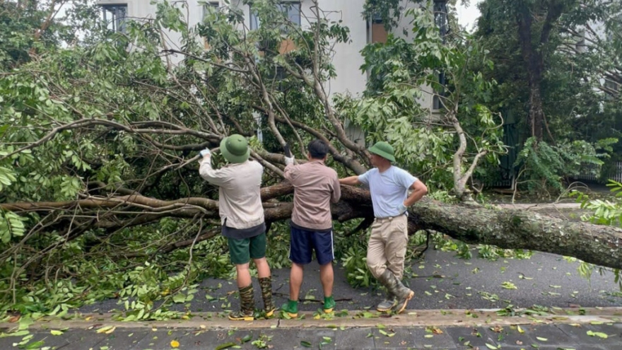 Sao Việt 9/9: Xuân Bắc cùng hai con dọn cây đổ sau bão