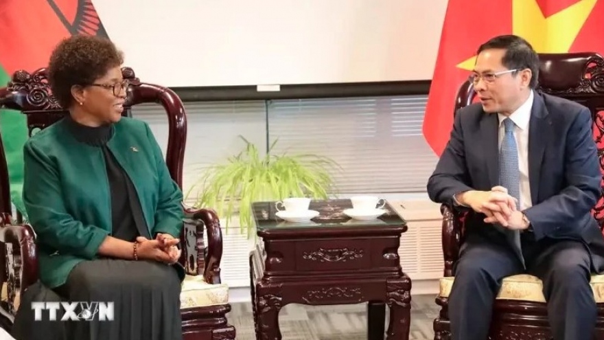 Vietnam officially establishes diplomatic relations with Malawi