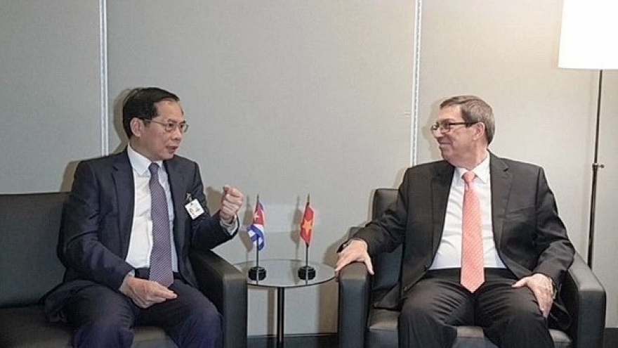 Vietnamese Deputy PM engages in bilateral meetings at UNGA 79