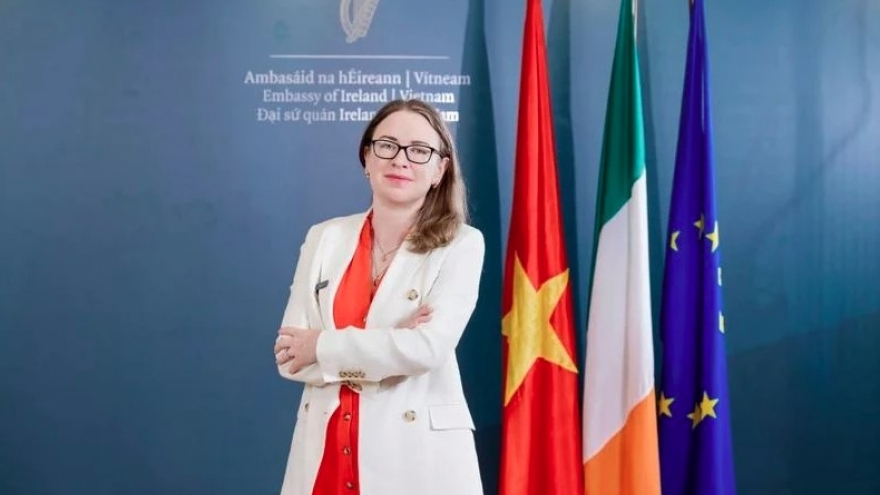 Ireland wants to bolster cooperation with Vietnam: Ambassador