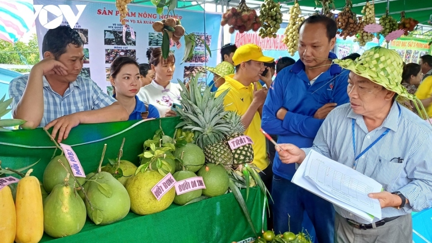 Vietnam Fruit Festival to be held in China